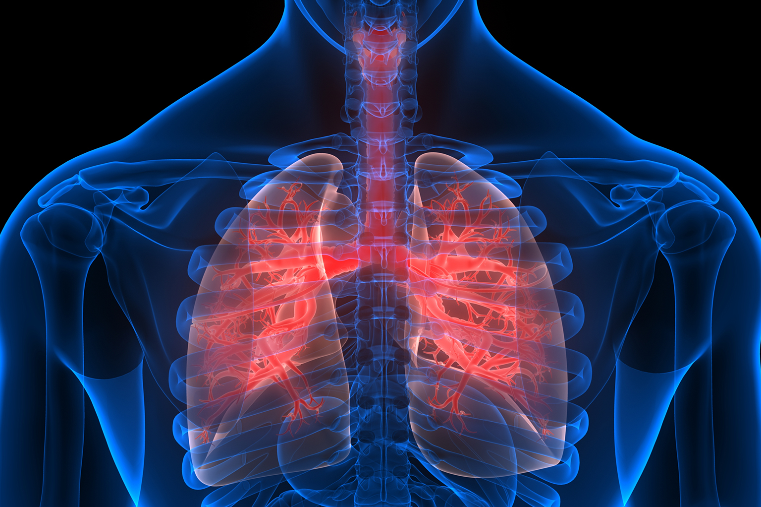 Study Summary: Lung Pilot Study - XACT